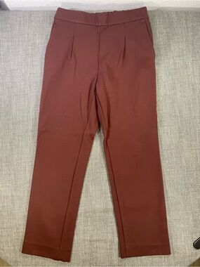 Ann Taylor Men's Dress Pants in Burgundy